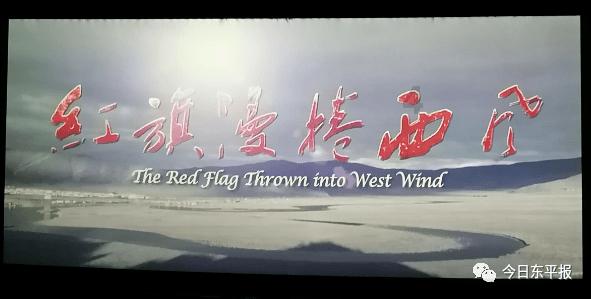 受困的西红柿